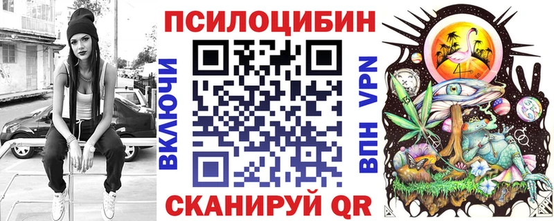 как найти закладки Чапаевск Псилоцибиновые грибы ЛСД